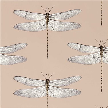 Demoiselle Positano First Light Taupe HRTW113142