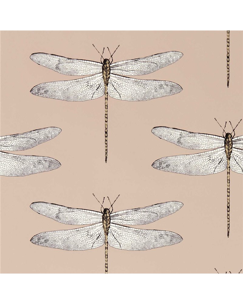 Demoiselle Positano First Light Taupe HRTW113142