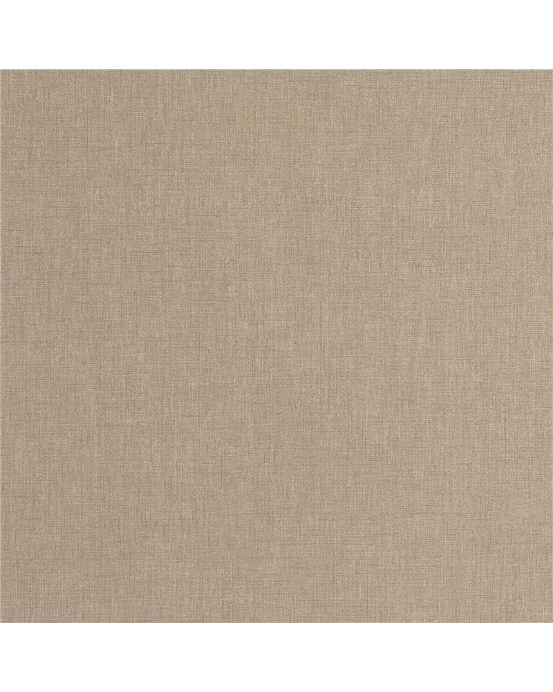 Caractere Taupe 201171505