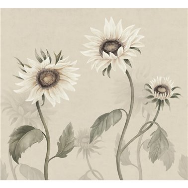 Sunflowers White S10529