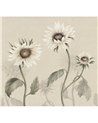 Sunflowers White S10529