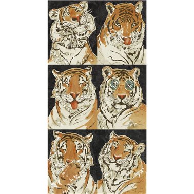 Roar Emotions Charcoal BMWL005-09A